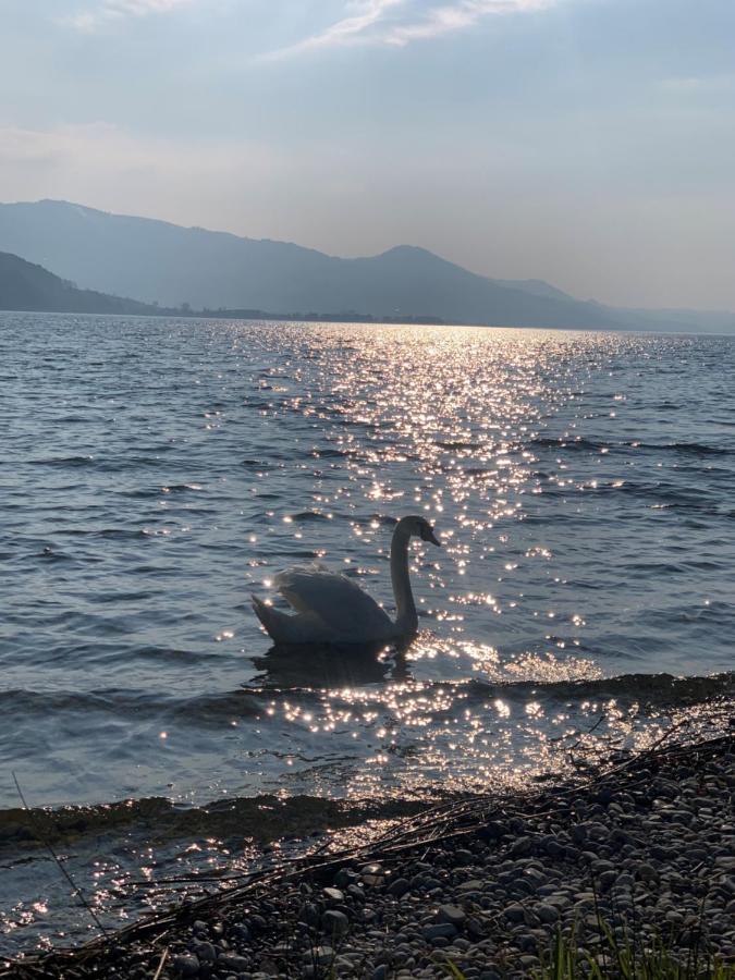Strandhotel Schmerikon Екстериор снимка