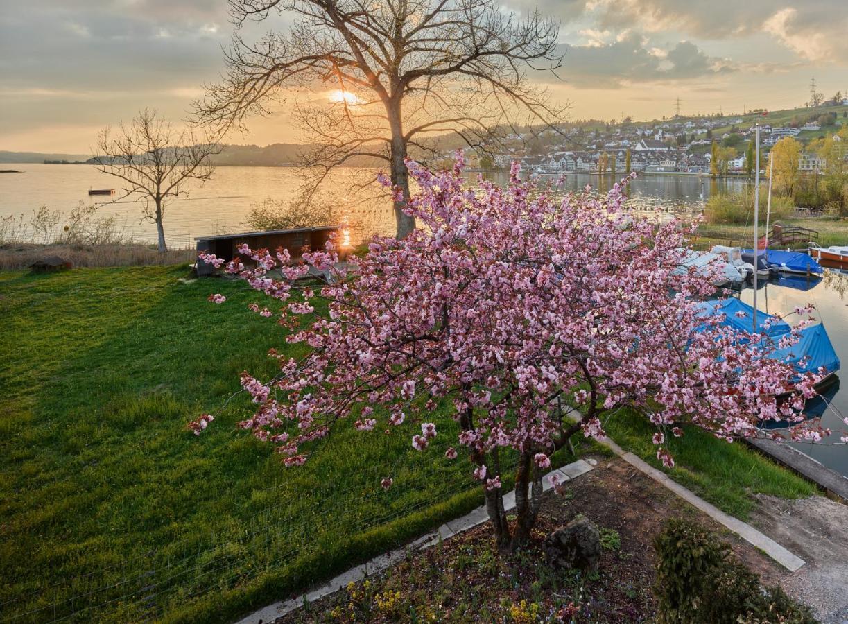 Strandhotel Schmerikon Екстериор снимка